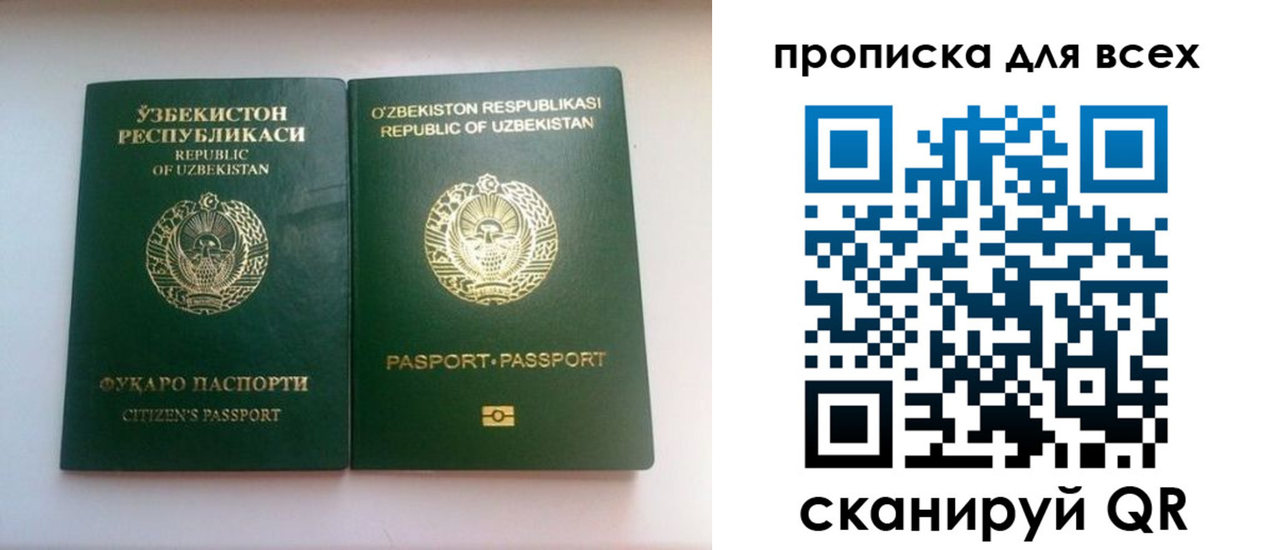 прописка для школы в Белореченске